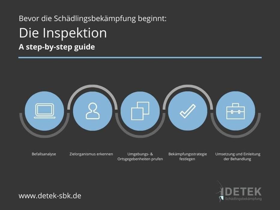 Bilder DETEK Schädlingsbekämpfung & Kammerjäger Münster - NRW