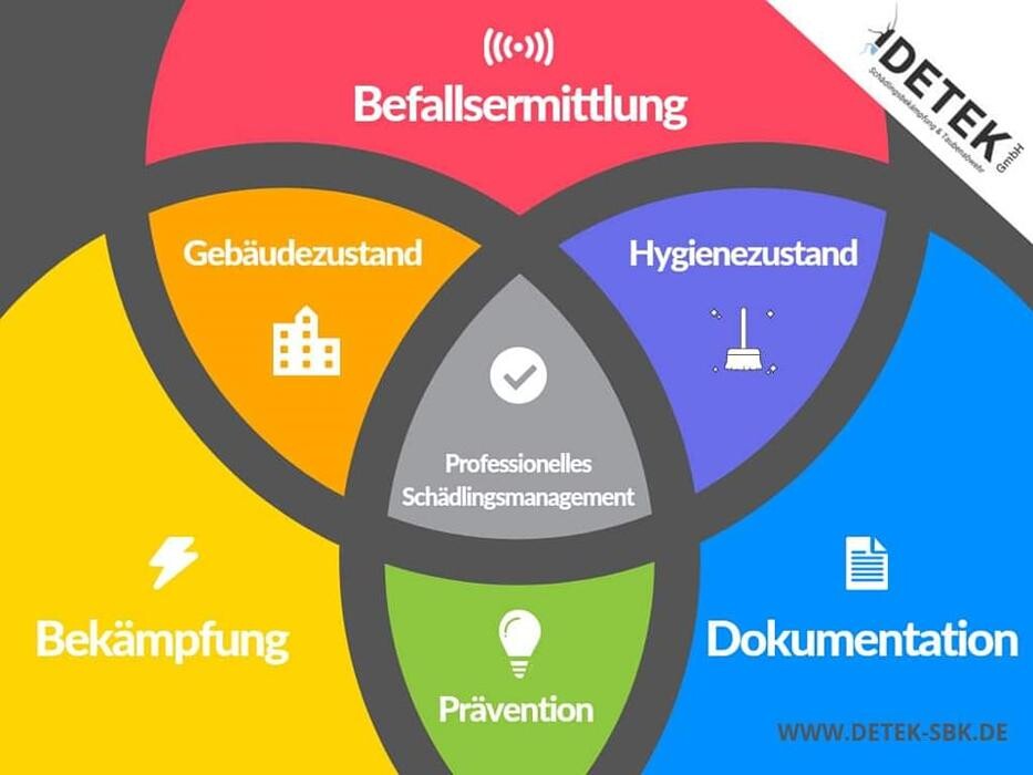Bilder DETEK Schädlingsbekämpfung & Kammerjäger Münster - NRW