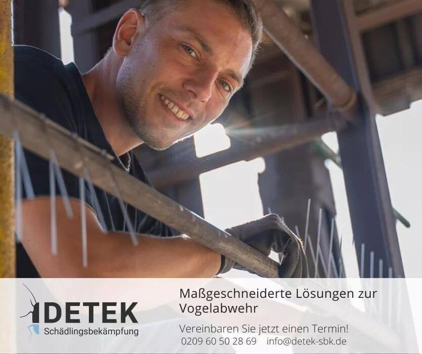 Bilder DETEK Schädlingsbekämpfung & Kammerjäger Münster - NRW