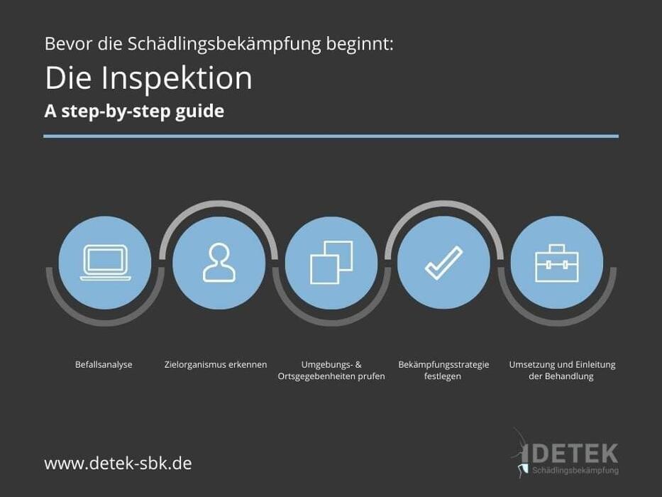 Bilder DETEK Schädlingsbekämpfung & Kammerjäger Münster - NRW