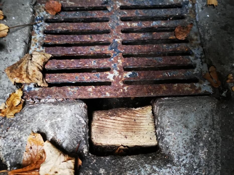 Bilder DETEK Schädlingsbekämpfung & Kammerjäger Münster - NRW