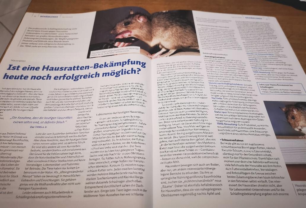 Bilder DETEK Schädlingsbekämpfung & Kammerjäger Münster - NRW