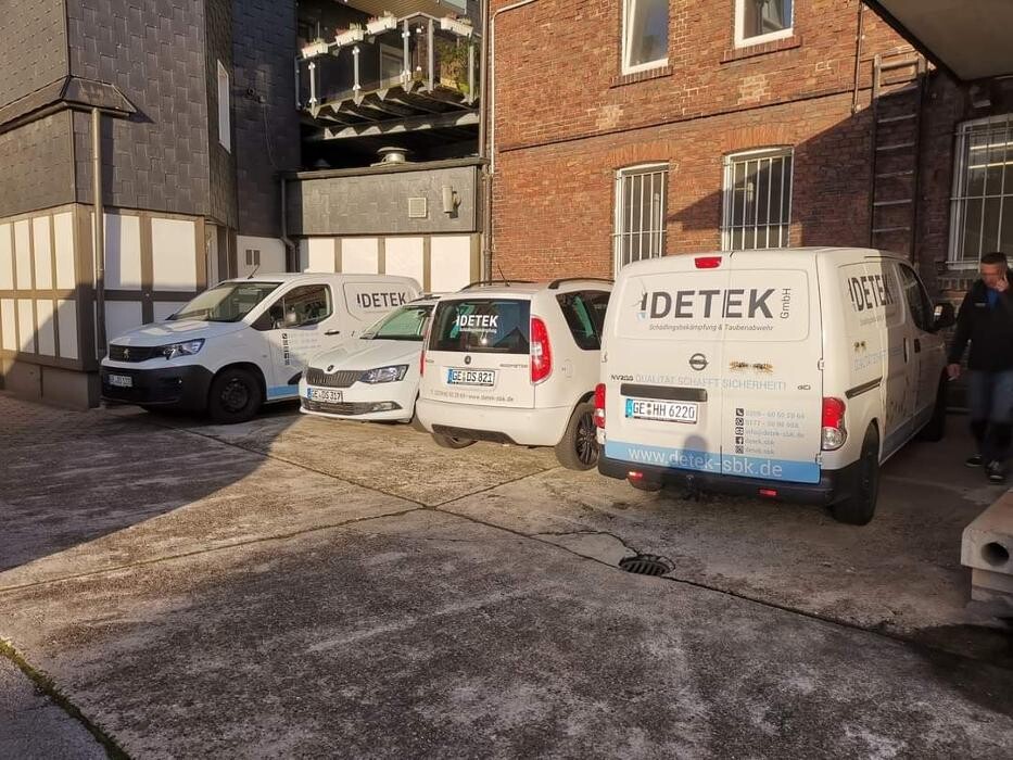 Bilder DETEK Schädlingsbekämpfung & Kammerjäger Münster - NRW