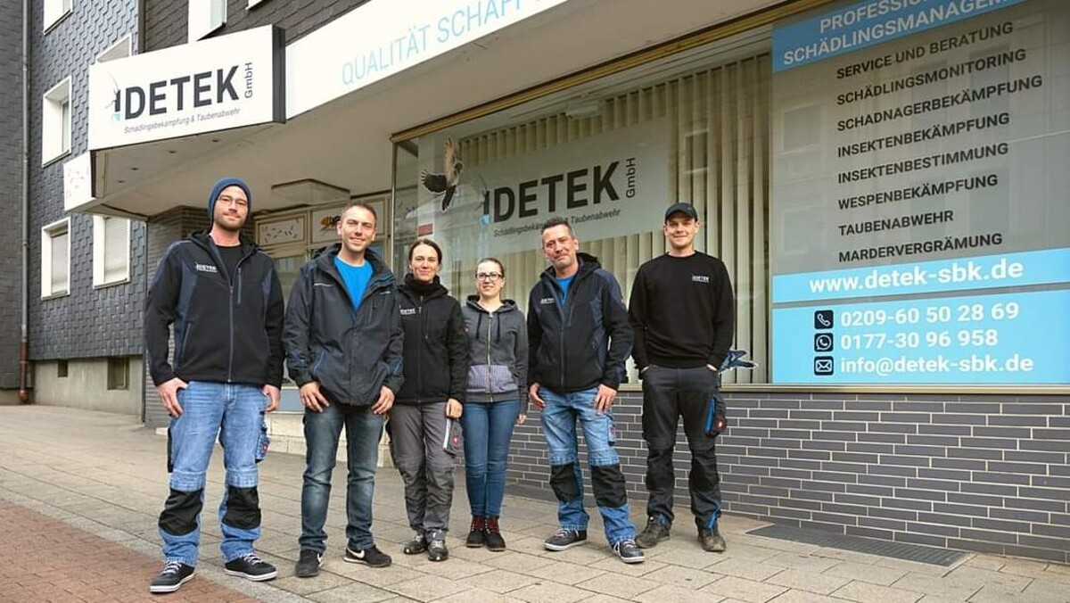Bilder DETEK Schädlingsbekämpfung & Kammerjäger Münster - NRW