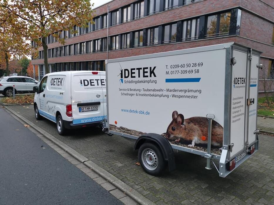 Bilder DETEK Schädlingsbekämpfung & Kammerjäger Münster - NRW