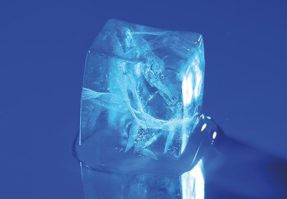 Bilder Eiscube Kältetechnik