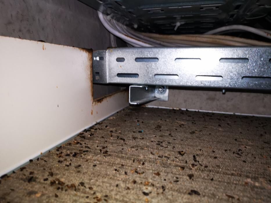 Bilder DETEK Schädlingsbekämpfung & Kammerjäger Bochum - NRW