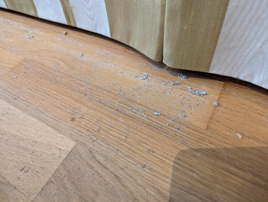 Bilder DETEK Schädlingsbekämpfung & Kammerjäger Bochum - NRW