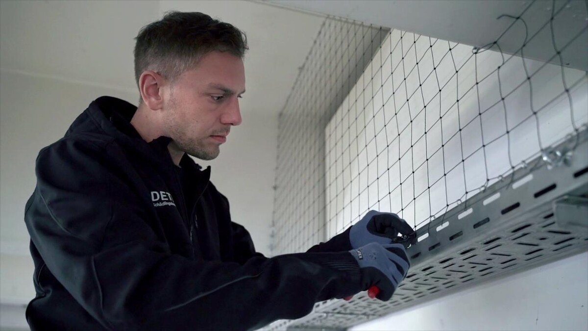 Bilder DETEK Schädlingsbekämpfung & Kammerjäger Bochum - NRW