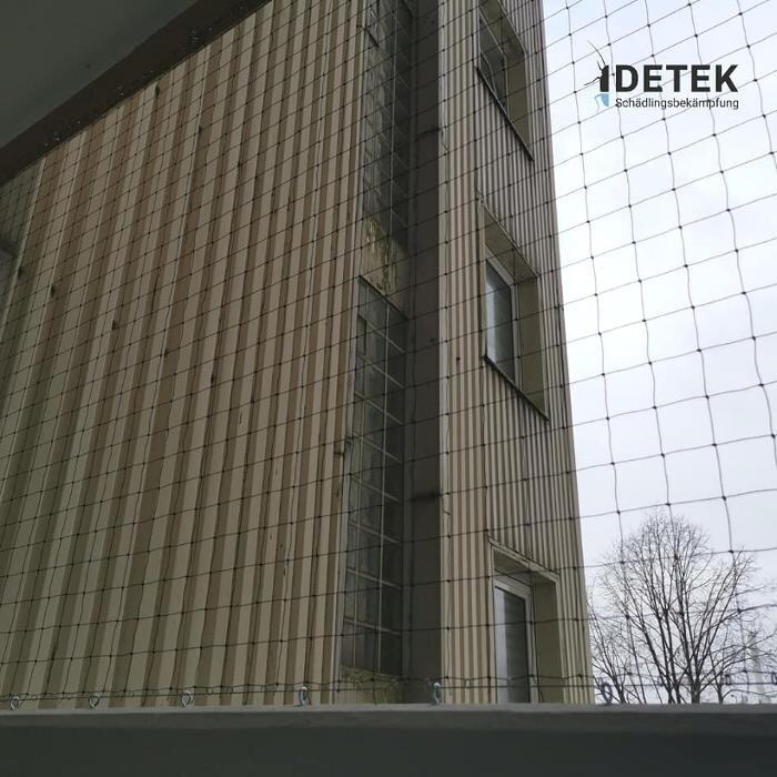 Bilder DETEK Schädlingsbekämpfung & Kammerjäger Bochum - NRW