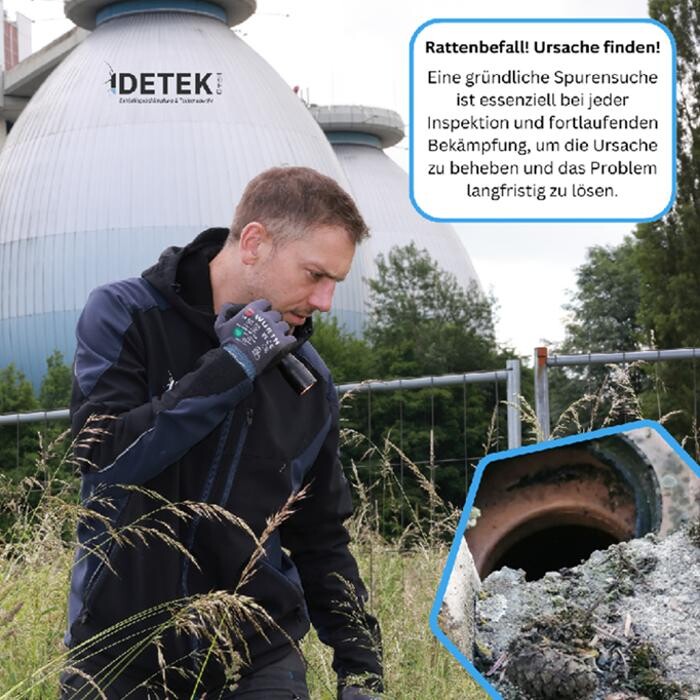 Bilder DETEK Schädlingsbekämpfung & Kammerjäger Bochum - NRW