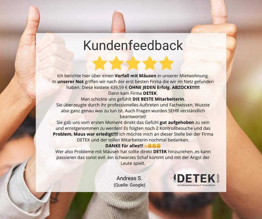 Bilder DETEK Schädlingsbekämpfung & Kammerjäger Bochum - NRW