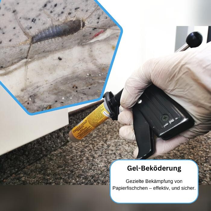 Bilder DETEK Schädlingsbekämpfung & Kammerjäger Bochum - NRW