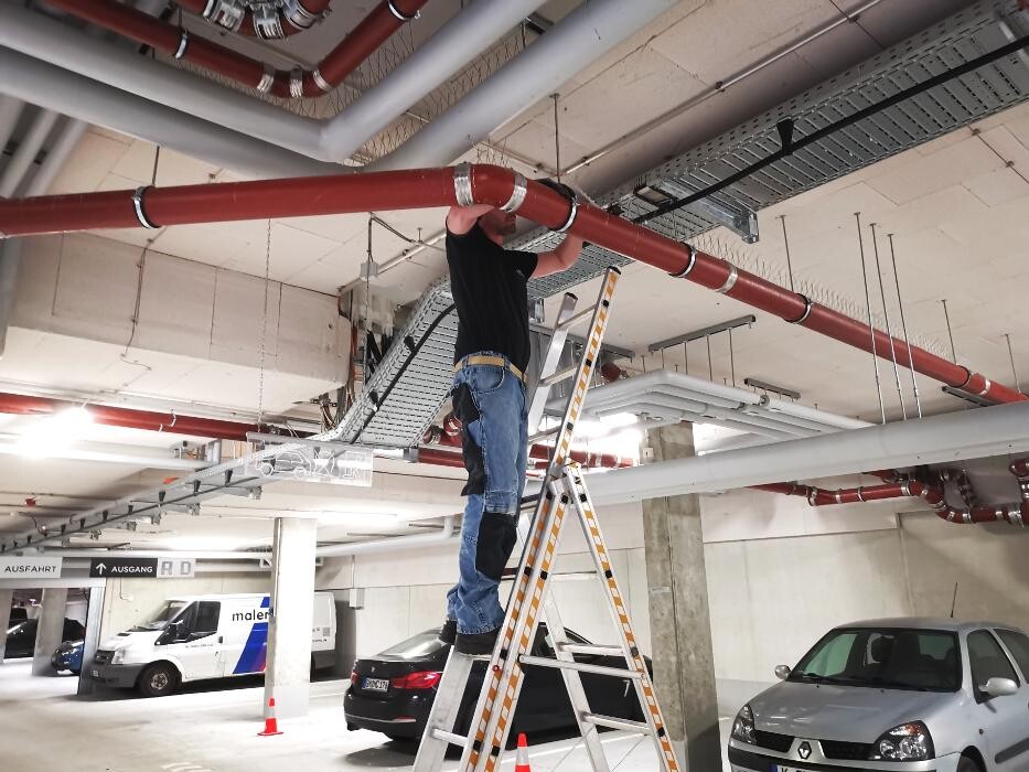 Bilder DETEK Schädlingsbekämpfung & Kammerjäger Bochum - NRW