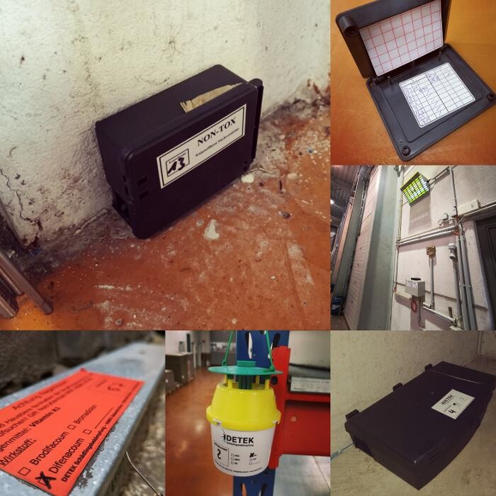 Bilder DETEK Schädlingsbekämpfung & Kammerjäger Bochum - NRW