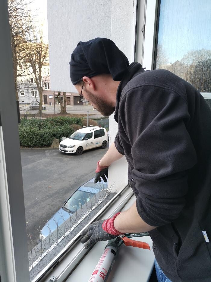 Bilder DETEK Schädlingsbekämpfung & Kammerjäger Bochum - NRW
