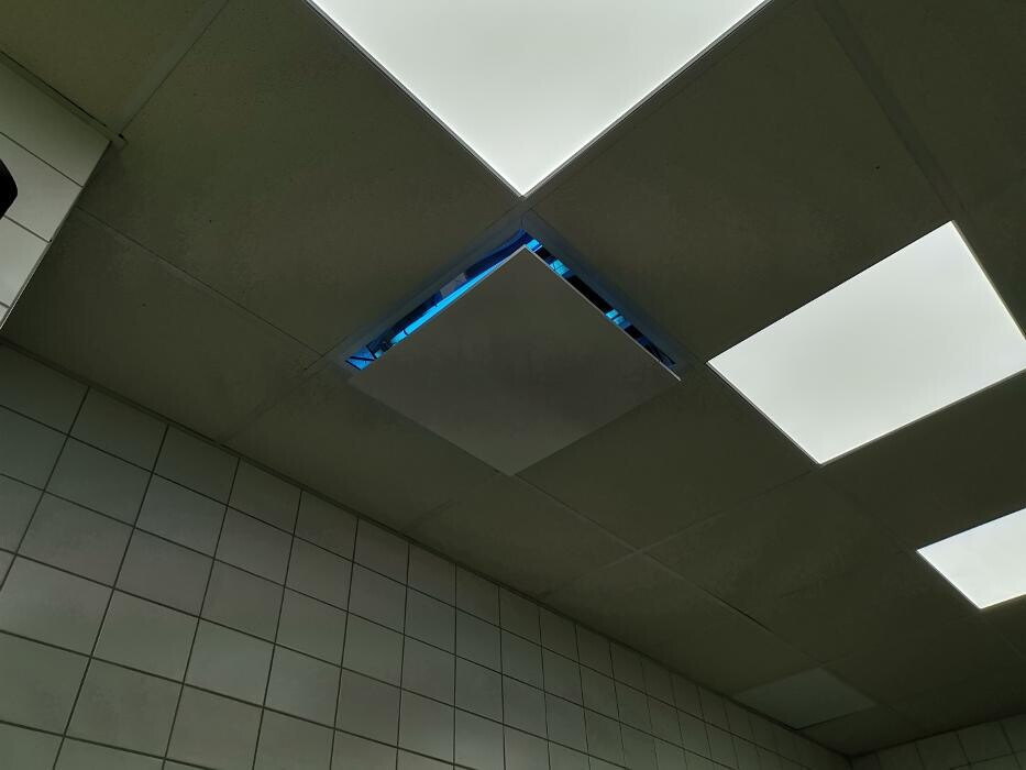 Bilder DETEK Schädlingsbekämpfung & Kammerjäger Bochum - NRW