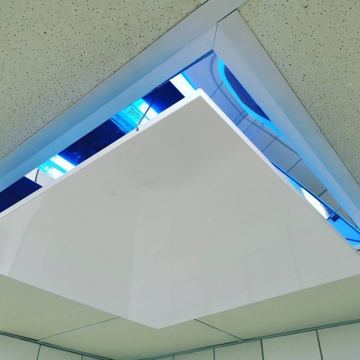 Bilder DETEK Schädlingsbekämpfung & Kammerjäger Bochum - NRW
