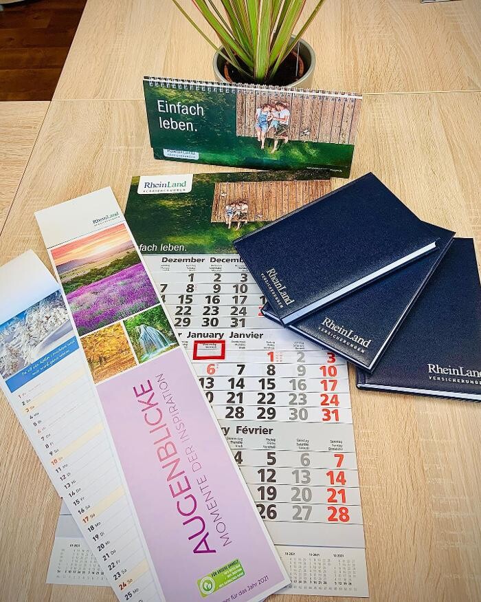 Bilder RheinLand Geschäftsstelle Benjamin Remmet