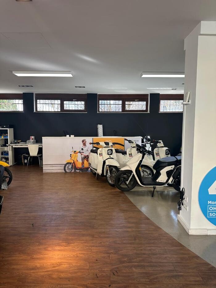 Bilder Rollerhaus König Store