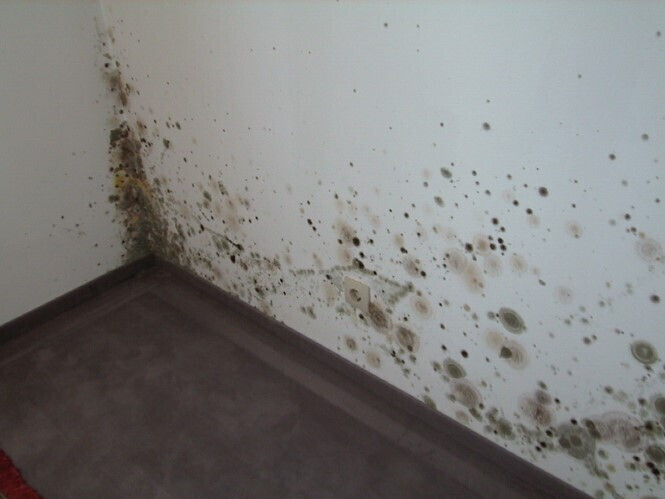 Bilder Getifix Fachbetrieb