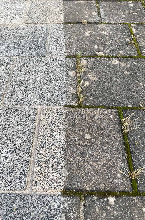 Bilder F.Z Bau Haus und Grundstück