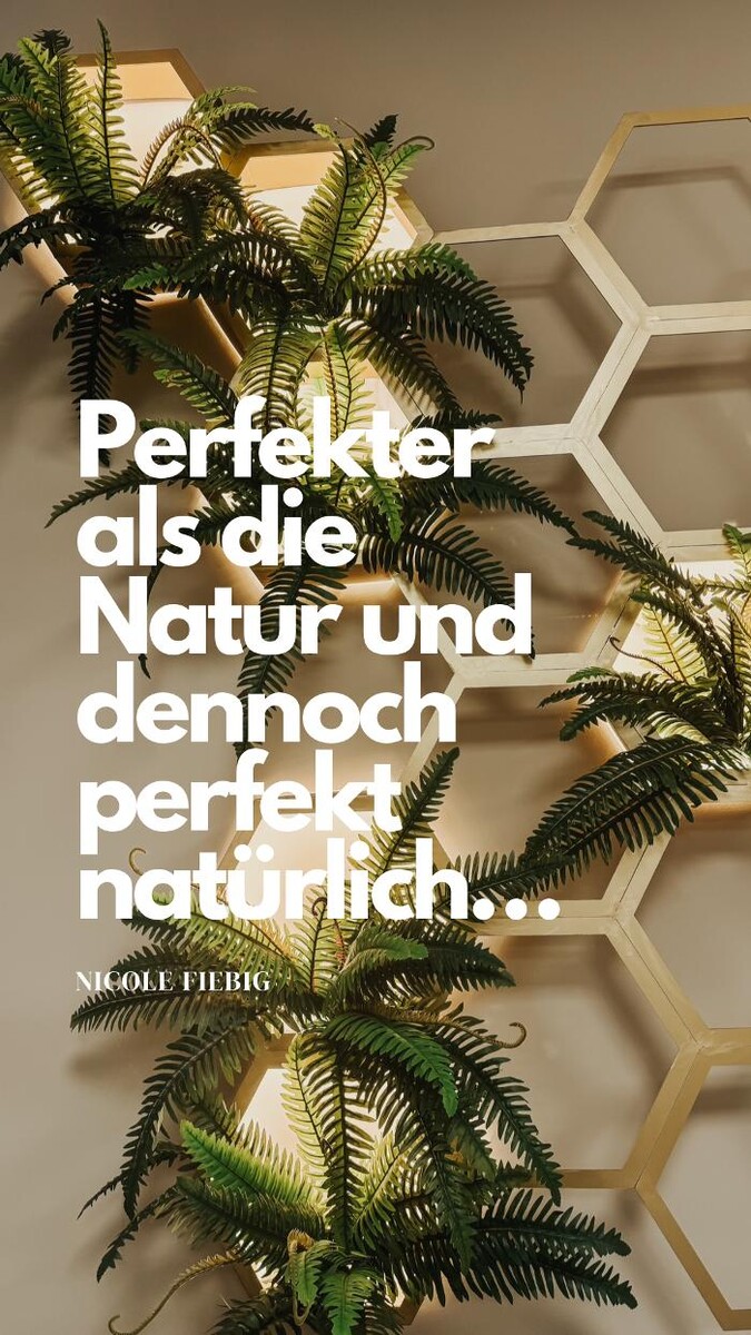 Bilder Feel Beautiful by Nicole - Dauerhafte Haarentfernung, Hautverjüngung und Beckenbodentraining
