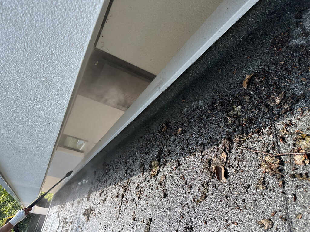 Bilder Horner Gebäudereinigung & Terrassenreinigung Bio Qualität