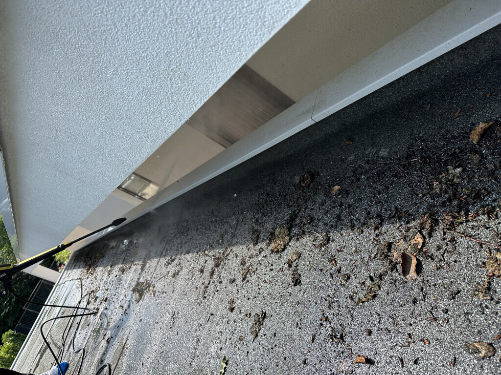 Bilder Horner Gebäudereinigung & Terrassenreinigung Bio Qualität