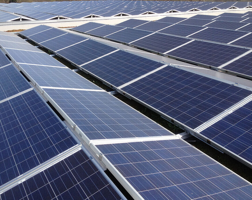 Bilder Sunscouts Mandl GmbH