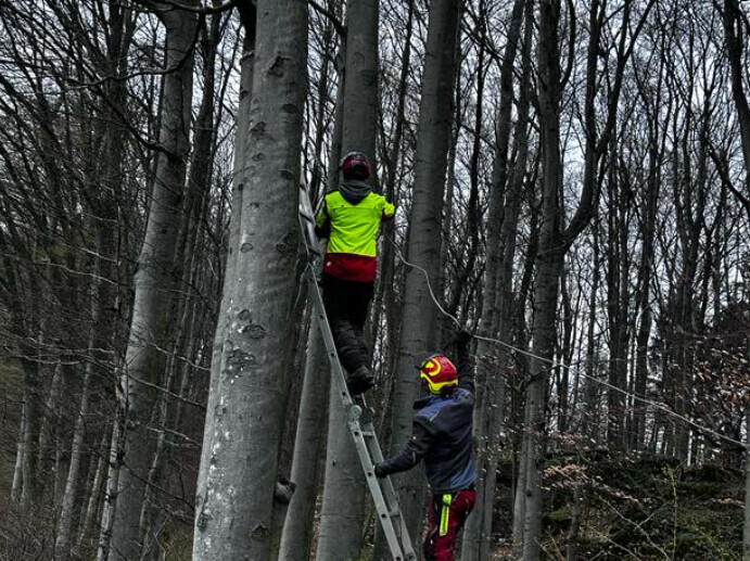 Bilder Distler Land und Forst