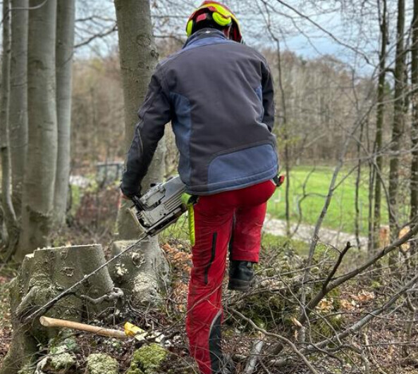 Bilder Distler Land und Forst