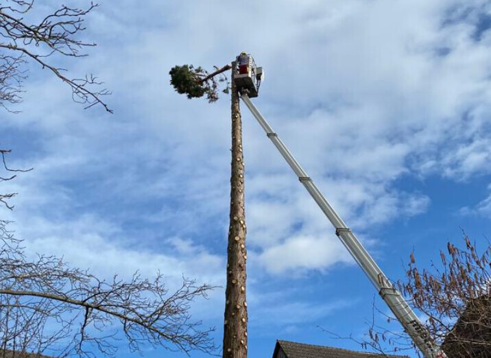 Bilder Distler Land und Forst