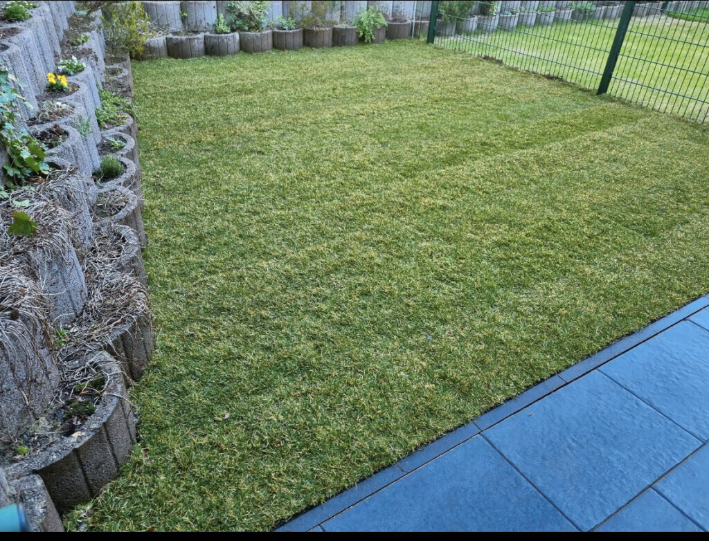 Bilder GaLaBau E & B