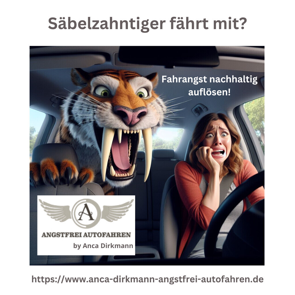 Bilder Angstfrei Autofahren by Anca Dirkmann