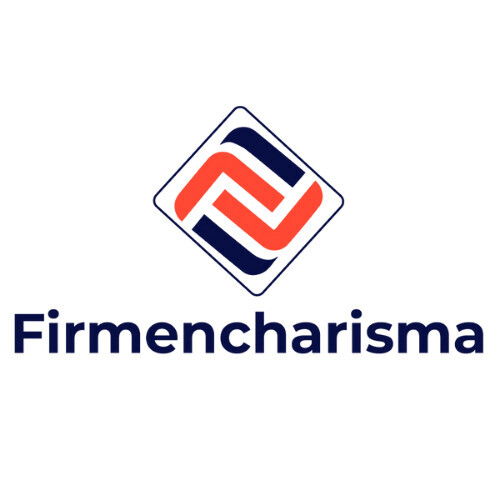 Firmencharisma - SEO & Webdesign aus Wolfsburg Logo