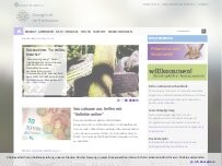 Website Screenshot Evangelisches Dekanat Hochtaunus