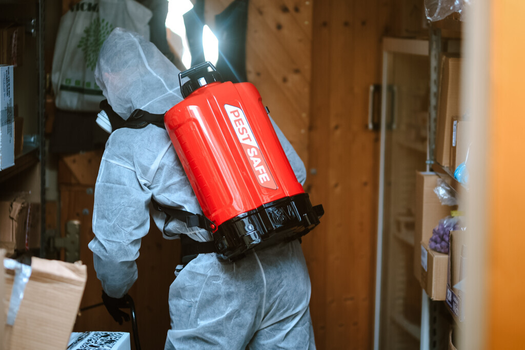 Bilder PESTSAFE Schädlingsbekämpfung Düsseldorf