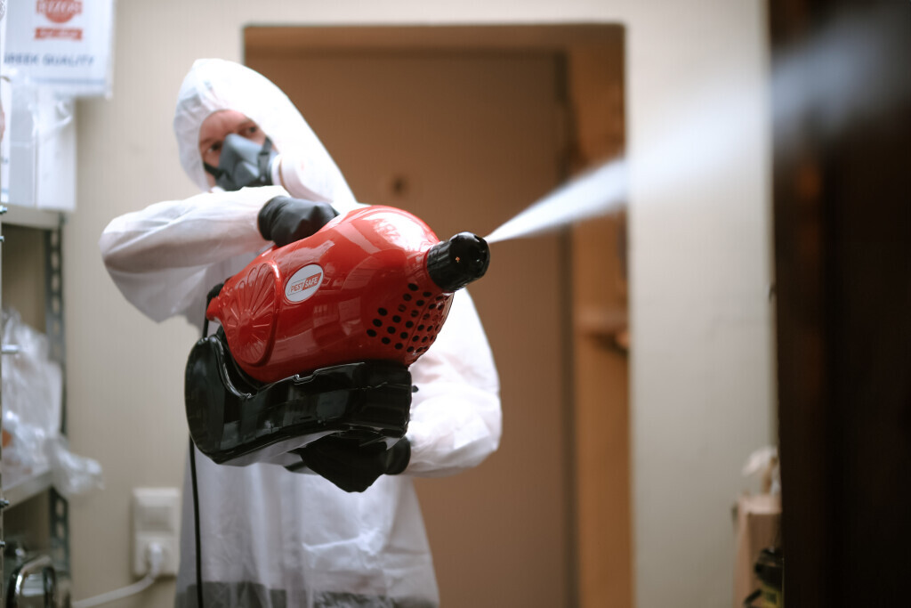 Bilder PESTSAFE Schädlingsbekämpfung Düsseldorf