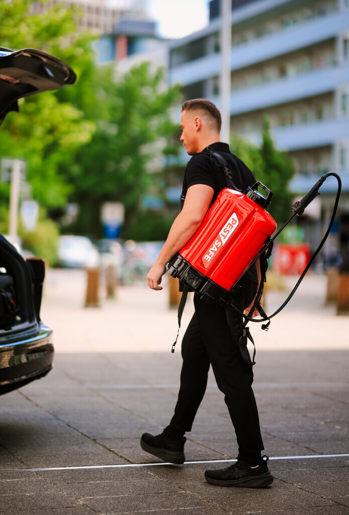 Bilder PESTSAFE Schädlingsbekämpfung Düsseldorf