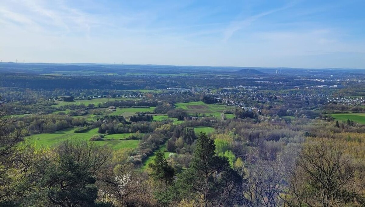 Bilder FriedWald Litermont