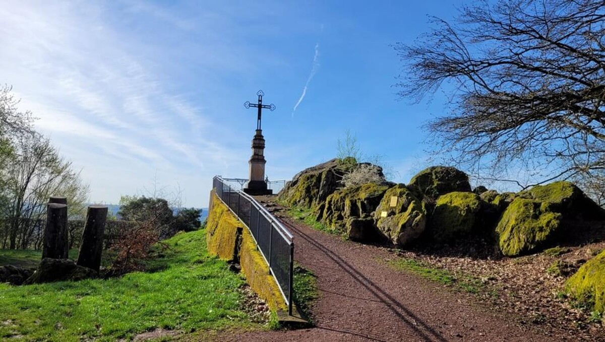 Bilder FriedWald Litermont