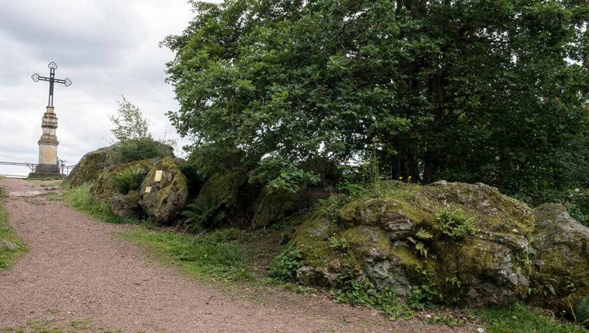 Bilder FriedWald Litermont