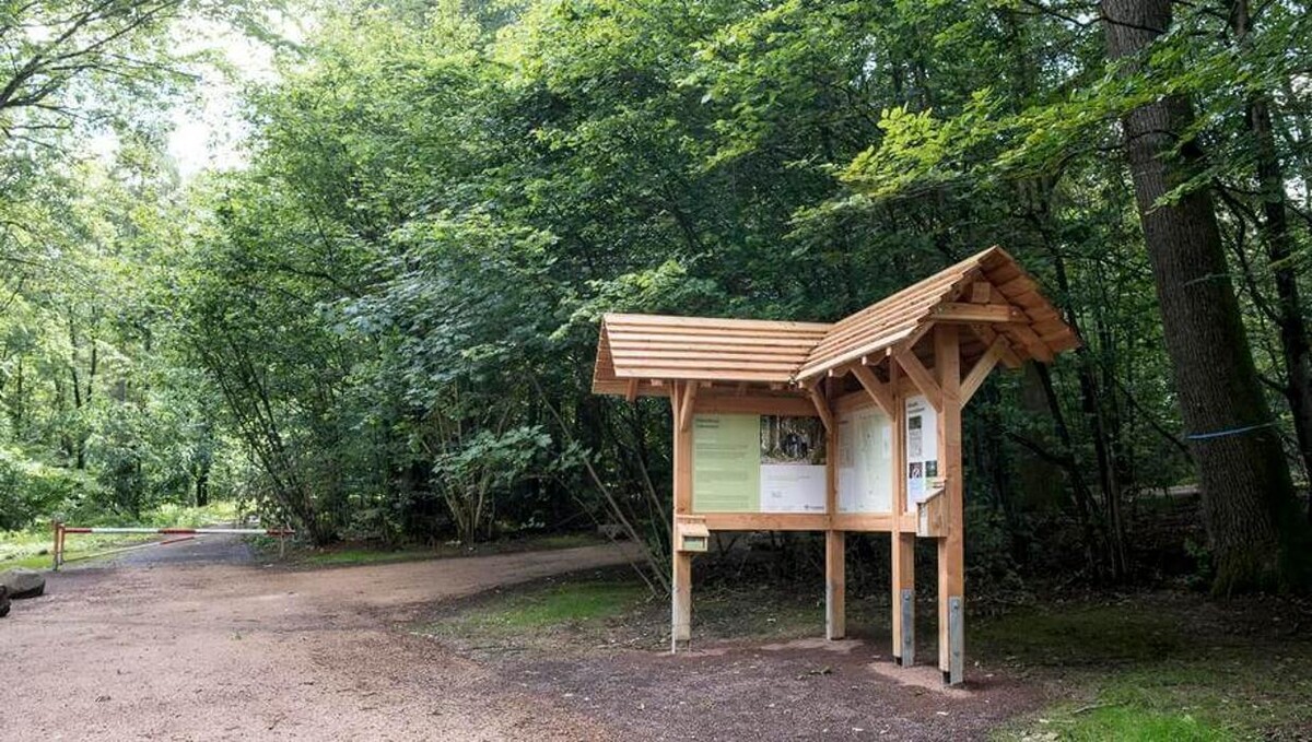Bilder FriedWald Litermont