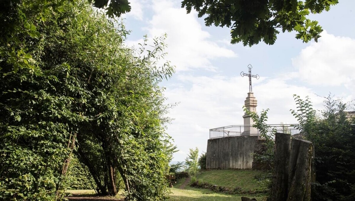 Bilder FriedWald Litermont