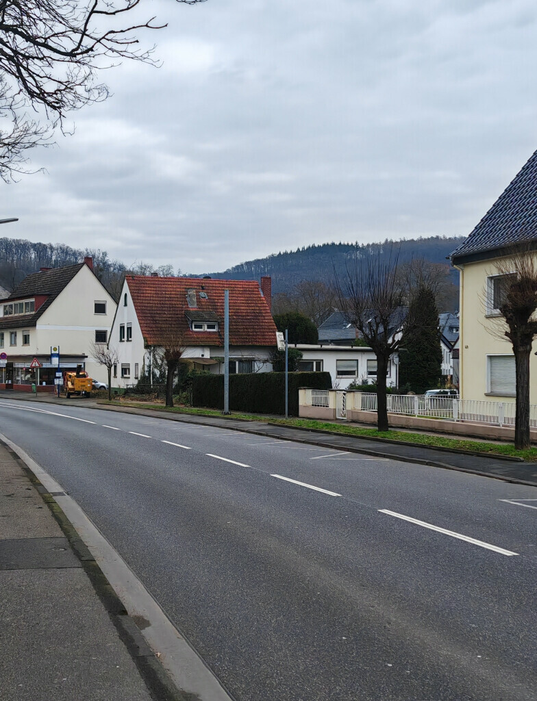 Bilder Baumpflege Eifler