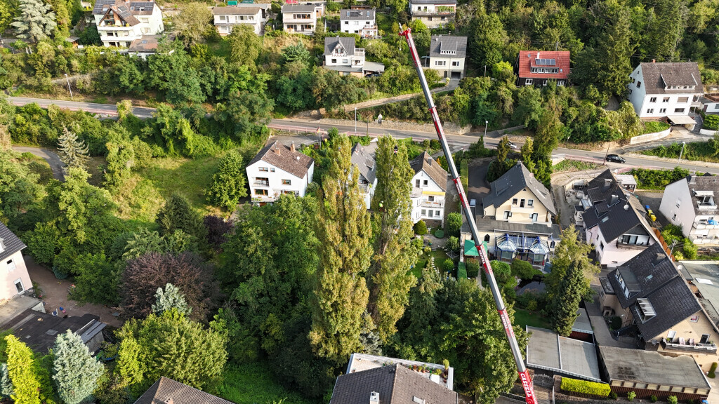 Bilder Baumpflege Eifler