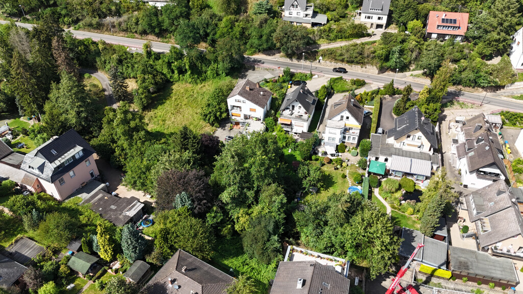 Bilder Baumpflege Eifler