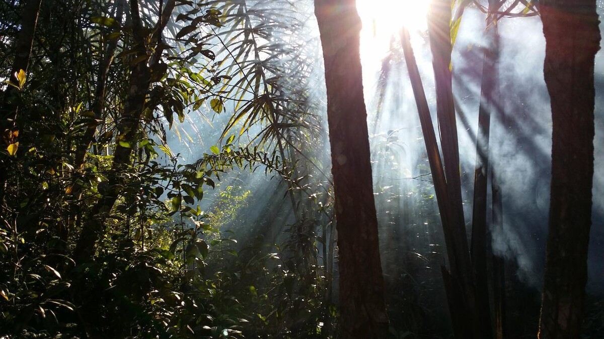 Bilder Brasilien-Wege