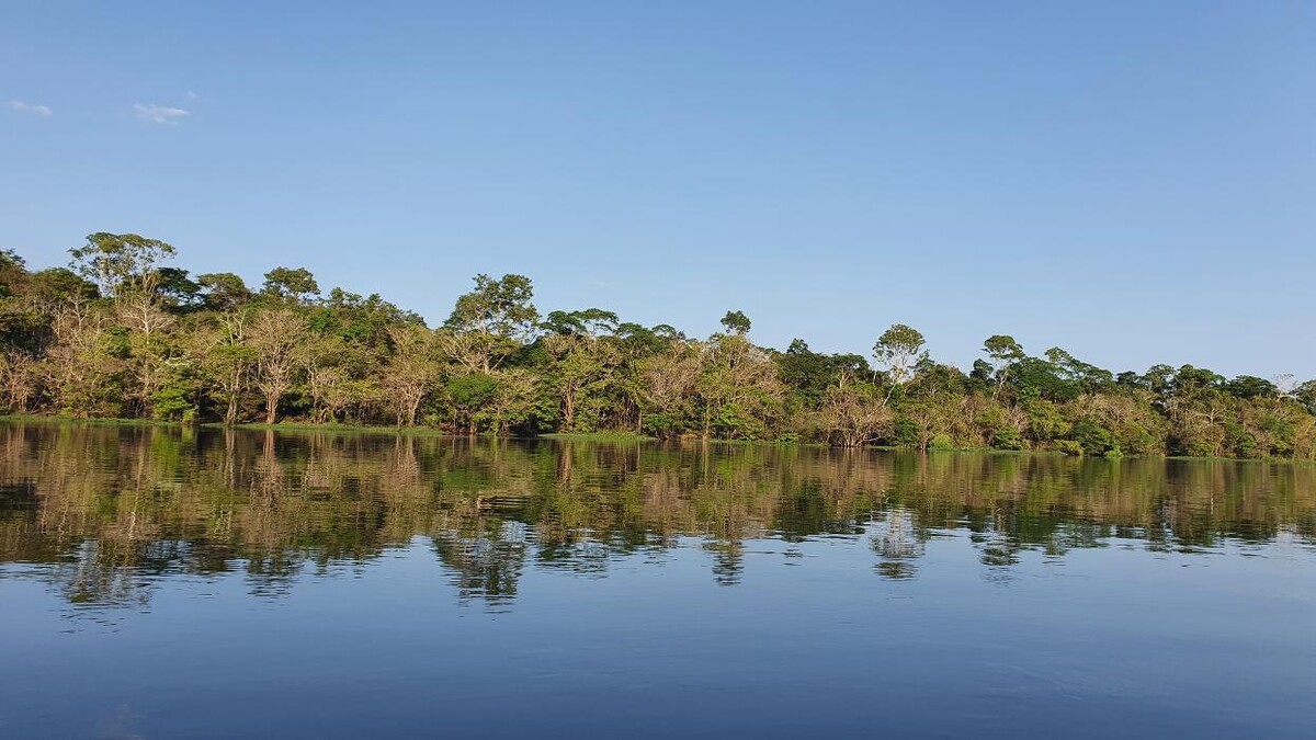 Bilder Brasilien-Wege
